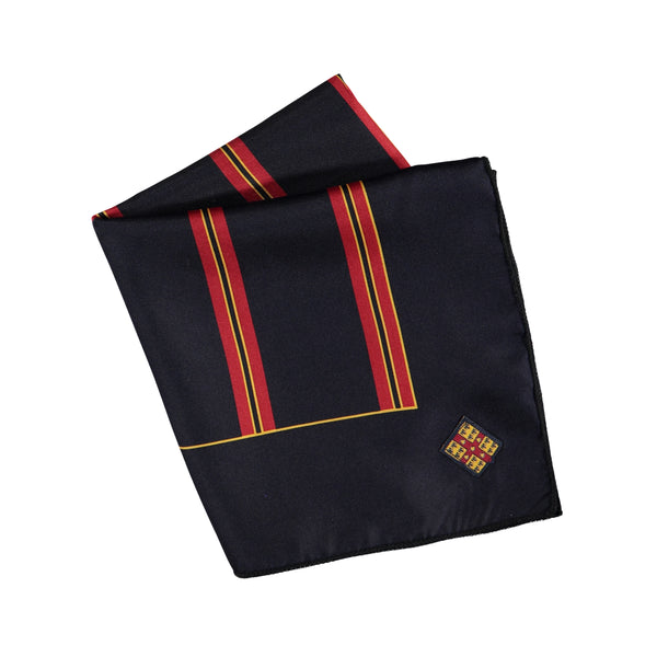 Foulard à rayures - CFL250J